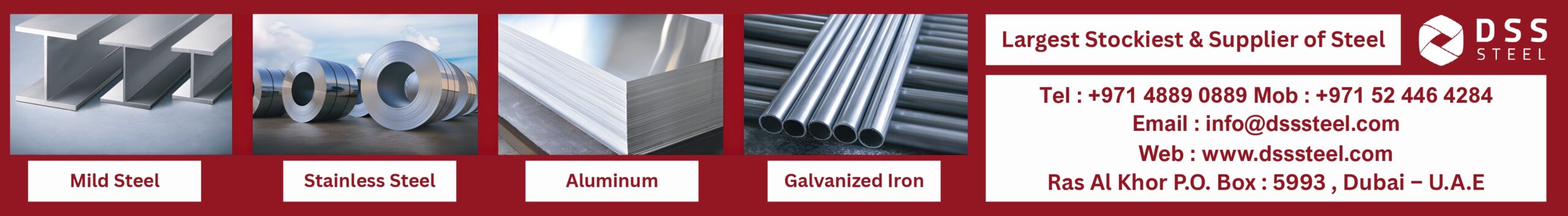 dsssteel